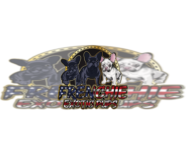 Medium Photo #1  Breeder Profile in HIALEAH, FL, USA