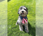 Small #2 Breeder Profile image