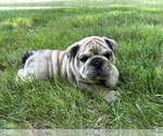 Small #10 Breeder Profile image
