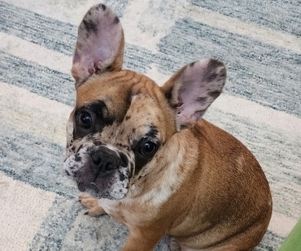 Medium Photo #1  Breeder Profile in TULLAHOMA, TN, USA