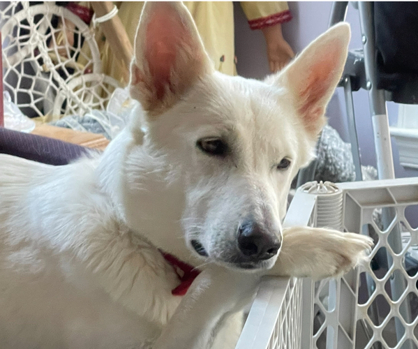 Medium Photo #2  Breeder Profile in RUCKERSVILLE, VA, USA