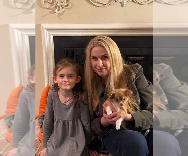 Medium Photo #67  Breeder Profile in HOMERVILLE, GA, USA
