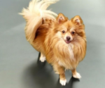 Small #4 Breeder Profile image