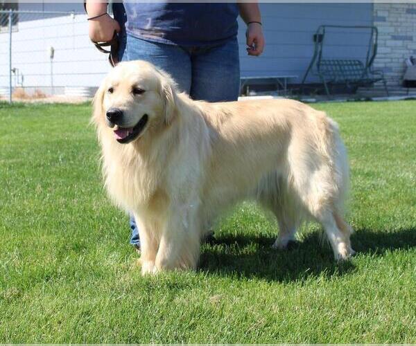Medium Photo #3  Breeder Profile in BAYARD, NE, USA
