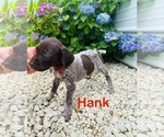 Small #3 Breeder Profile image