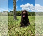 Small #2 Breeder Profile image