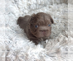 Small #9 Breeder Profile image