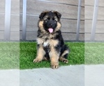 Small #171 Breeder Profile image