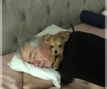 Small #73 Breeder Profile image