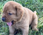 Small #3 Breeder Profile image