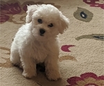 Small #4 Breeder Profile image