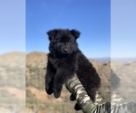 Small #121 Breeder Profile image