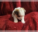 Small #85 Breeder Profile image