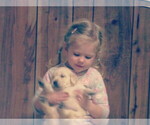 Small #1 Breeder Profile image