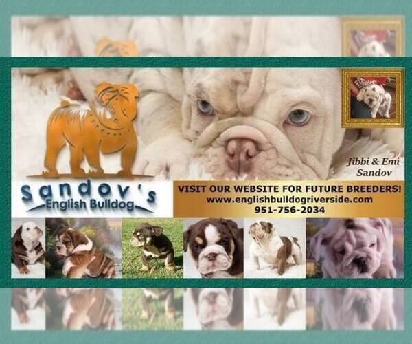 Medium Photo #1  Breeder Profile in RIVERSIDE, CA, USA
