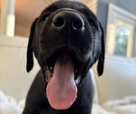 Small #3 Breeder Profile image
