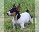 Small #13 Breeder Profile image
