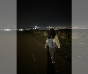 Poodle (Standard) Dog Breeder near MODESTO, CA, USA