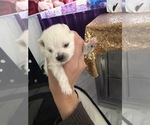 Small #6 Breeder Profile image