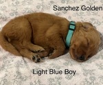Small #3 Breeder Profile image