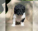Small #10 Breeder Profile image