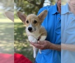 Small #2 Breeder Profile image
