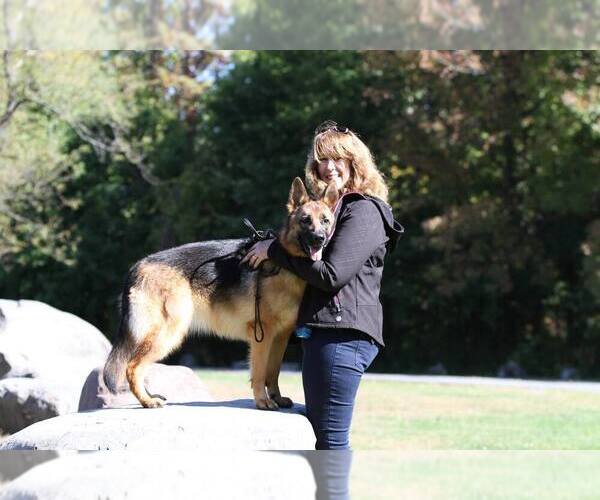 Medium Photo #1  Breeder Profile in CULPEPER, VA, USA