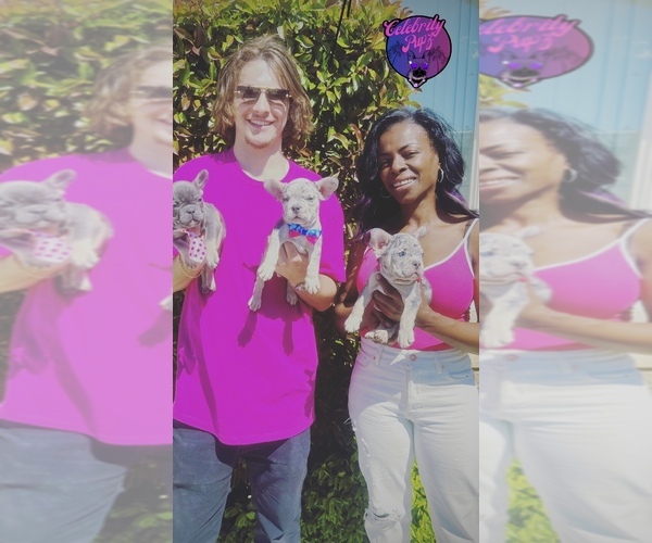 Medium Photo #1  Breeder Profile in LOS ANGELES, CA, USA