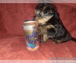 Small #176 Breeder Profile image