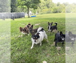 Small #76 Breeder Profile image