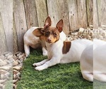 Small #26 Breeder Profile image
