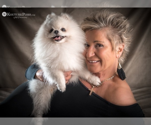 Medium Photo #11  Breeder Profile in CHARLOTTE, NC, USA