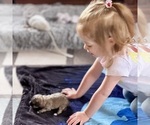 Small #12 Breeder Profile image