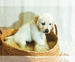 Small #16 Breeder Profile image