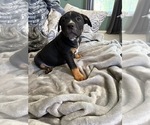 Small #3 Breeder Profile image