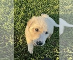 Small #5 Breeder Profile image