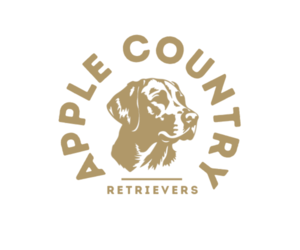 Golden Retriever Dog Breeder near HENDERSONVILLE, NC, USA
