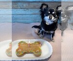 Small #30 Breeder Profile image