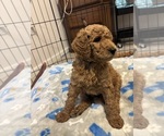 Small #3 Breeder Profile image
