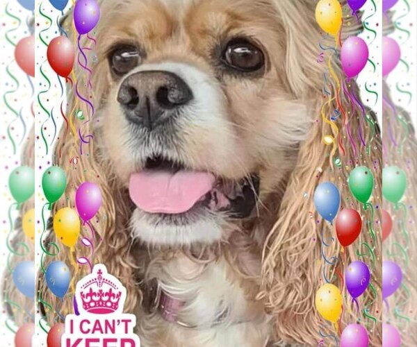 Medium Photo #52  Breeder Profile in Aylmer, Ontario, Canada