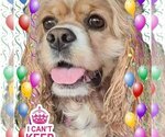 Small #51 Breeder Profile image