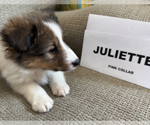 Medium Photo #2  Breeder Profile in MC CORDSVILLE, IN, USA