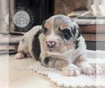 Small #23 Breeder Profile image
