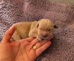 Small #3 Breeder Profile image