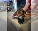 Small #1 Breeder Profile image