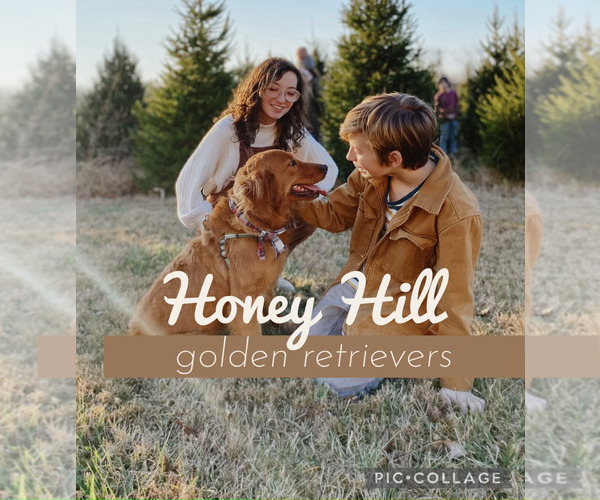 Medium Photo #1  Breeder Profile in SARDINIA, OH, USA