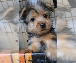 Small #161 Breeder Profile image