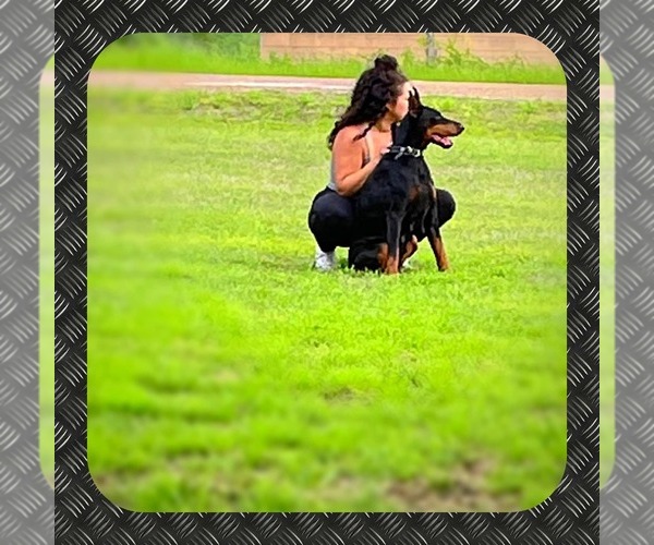 Medium Photo #5  Breeder Profile in CALDWELL, TX, USA