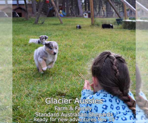 Medium Photo #1  Breeder Profile in KILA, MT, USA