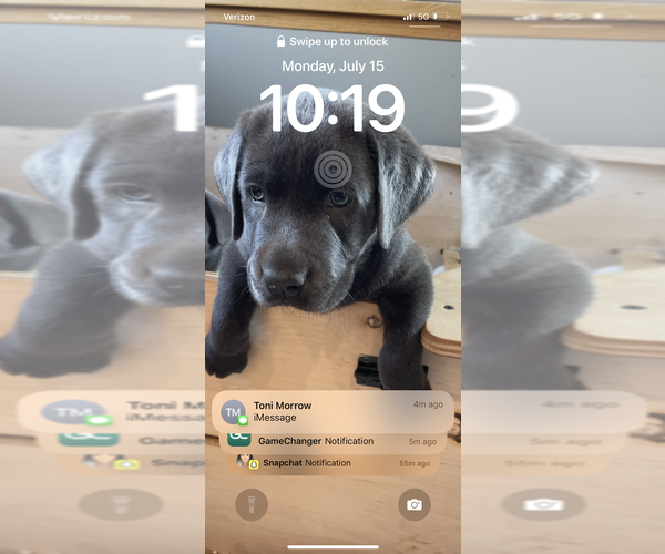 Medium Photo #9  Breeder Profile in OUTLOOK, WA, USA